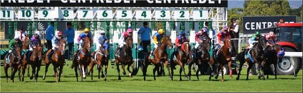Betting On Horse Racing